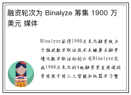 融资轮次为 Binalyze 筹集 1900 万美元 媒体