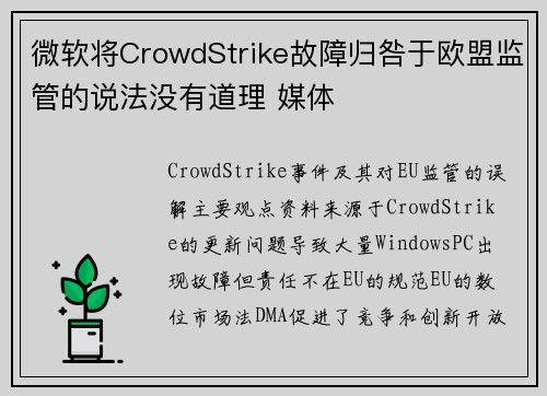 微软将CrowdStrike故障归咎于欧盟监管的说法没有道理 媒体